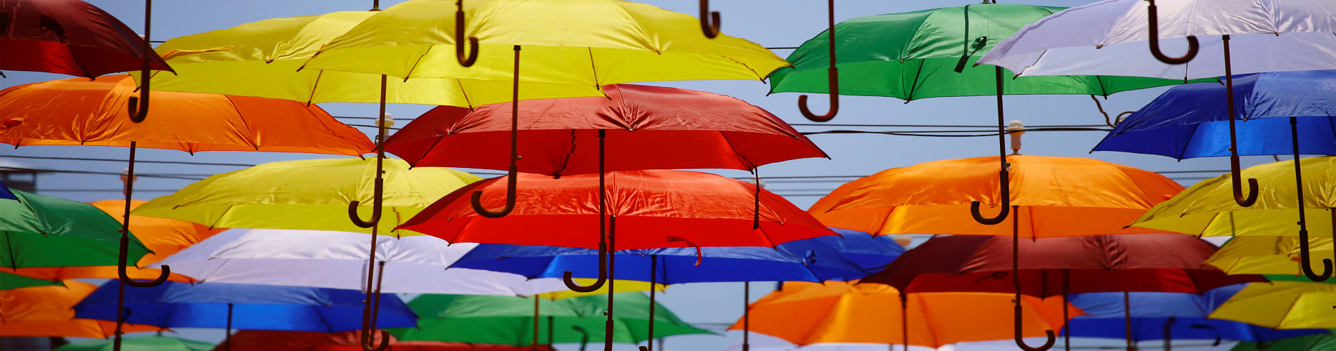 シンプルでカスタマイズしやすいWordPress.org登録テーマ